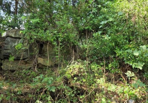 [문화유적조사보고 제25-12집] 서천 비인초등학교 재해복구공사 국가유산 영향진단조사 보고서 리스트 이미지